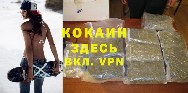 мдпв Вязьма