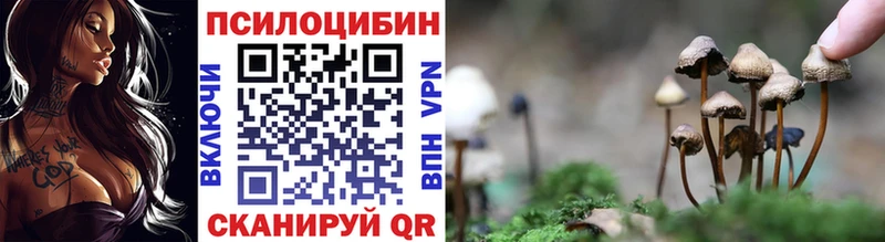 мориарти телеграм hydra ссылки Иланский Псилоцибиновые грибы MAGIC MUSHROOMS